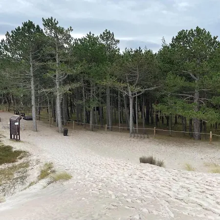 Your Cute Смолдзино