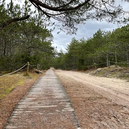 Your Cute Дом отдыха *