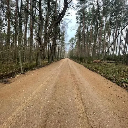 Your Cute * Смолдзино