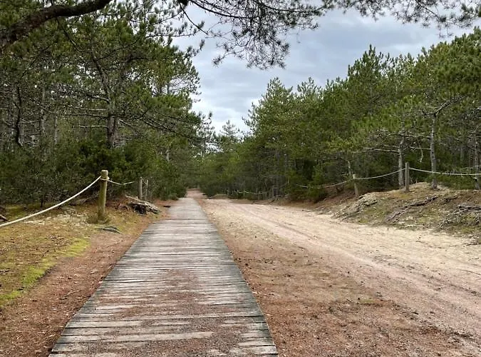 Your Cute Semesterbostad *